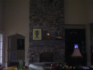 Great Room Photo, 029H-0035